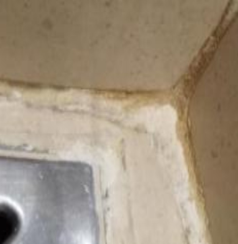 Fairmont Hotel The palm