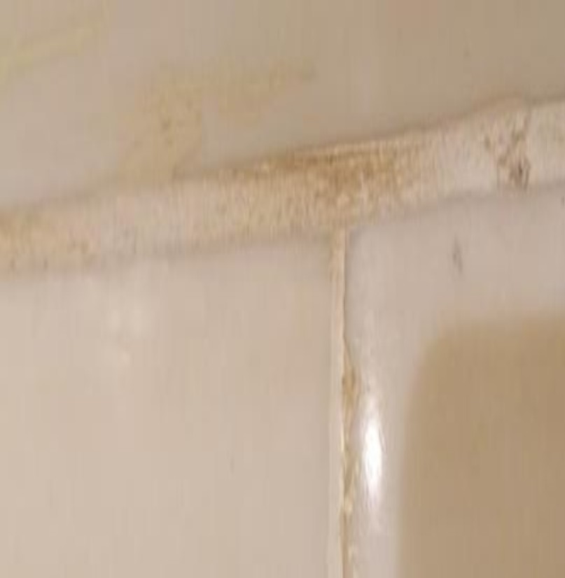 Palazzo Versace Hotel 